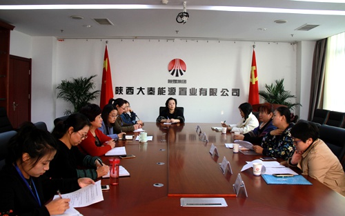 西安永大倡導(dǎo)稅務(wù)師事務(wù)所專家蒞臨大秦置業(yè)公司座談交流