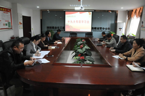 洗選煤運(yùn)營公司認(rèn)真學(xué)習(xí)傳達(dá)十九大精神