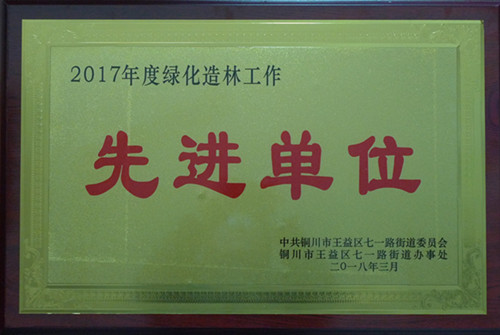 機(jī)電安裝公司榮獲銅川市七一地區(qū)綠化造林先進(jìn)單位榮譽(yù)稱號