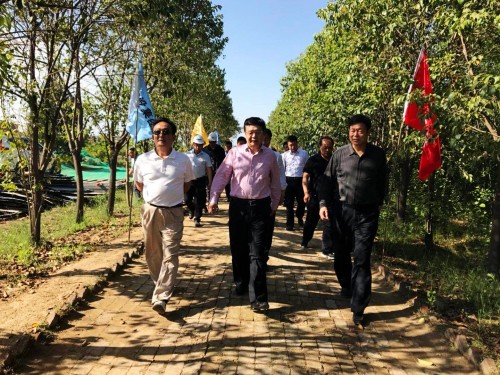 陜西省總工會黨組書記、主席白阿瑩一行蒞臨鄠邑區(qū)調(diào)研考察草堂寺健康養(yǎng)老示范項目