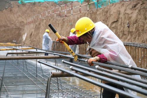 雨天里，“小蜜蜂們”在“筑巢”