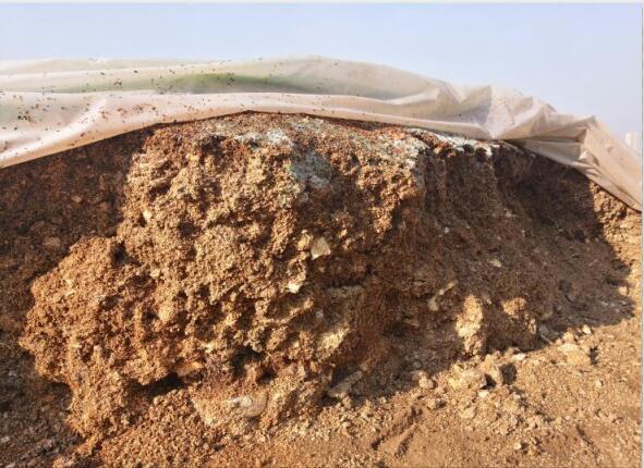 “廢料”變“肥料”，蘑菇包在土壤改良中的應(yīng)用