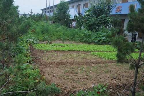 陜煤建設(shè)掘進(jìn)公司：北翼項(xiàng)目部“綠色農(nóng)場(chǎng)”開張啦