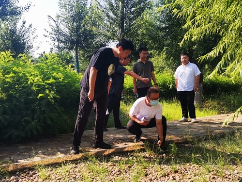 陜煤建設(shè)榆林公司承建的科創(chuàng)新城同慧運(yùn)動(dòng)公園項(xiàng)目綠化工程通過年度驗(yàn)收