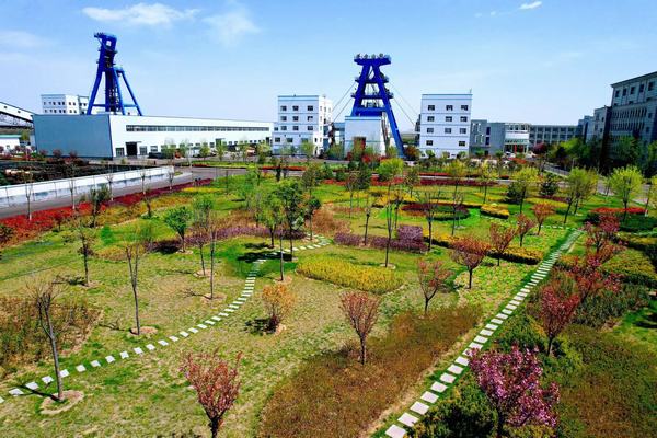 踏尋春天的底色，感知生命的力量