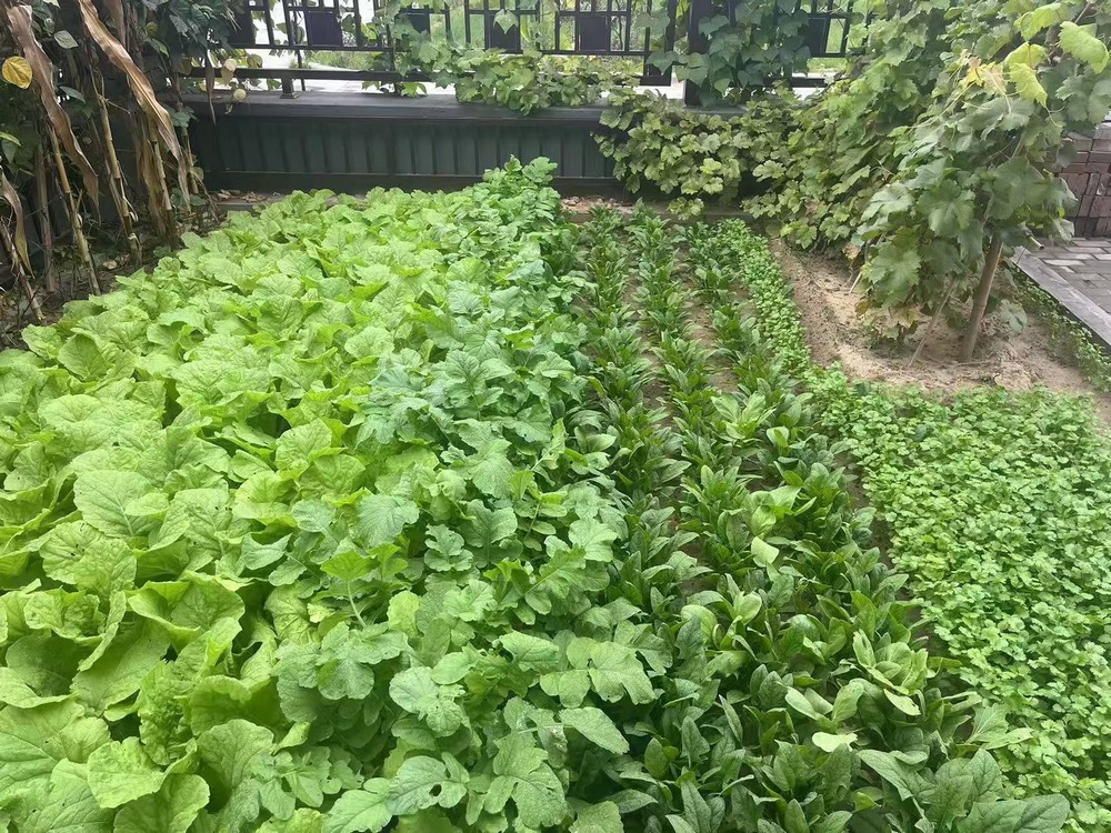 工地之上，家的溫度悄然綻放