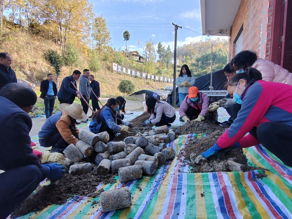 陜煤建設(shè)定點(diǎn)幫扶村：羊肚菌產(chǎn)業(yè)開(kāi)啟致富新引擎