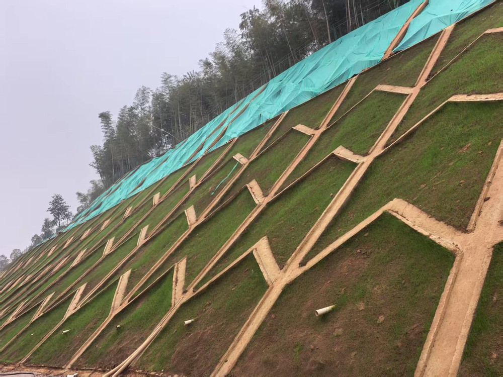 陜煤建設西北分公司：邊坡披綠衣，防護顯匠心