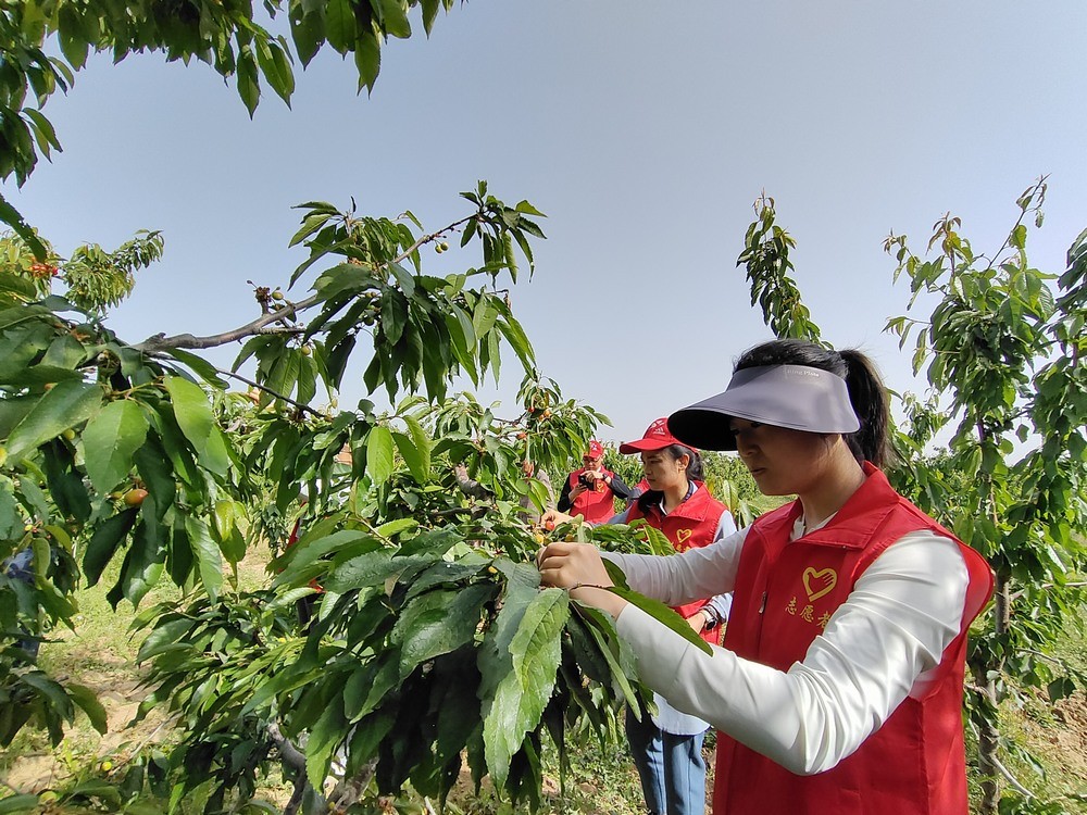 陜煤建設澄合分公司：助力農(nóng)耕踐初心 防災宣傳擔使命