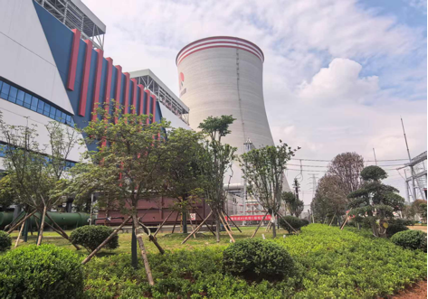 陜煤建設西北分公司：綠意盎然入電廠，生態(tài)建設譜新章