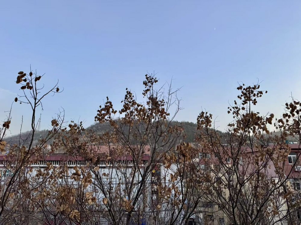 秋意漸濃時(shí)，回望來時(shí)路