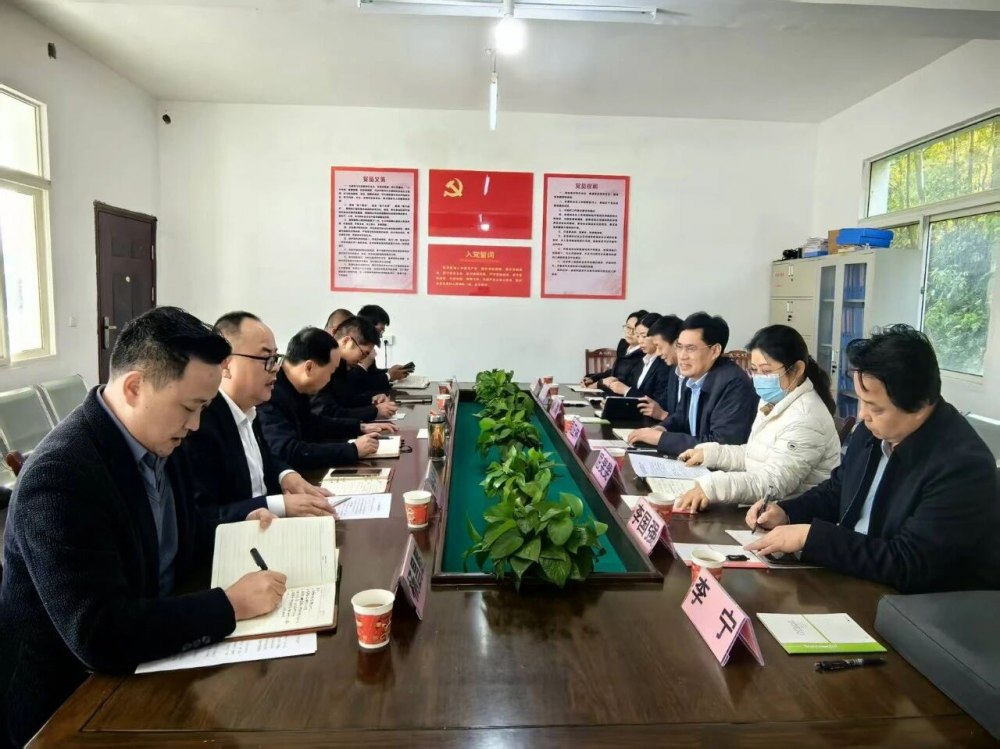 司正林深入定點幫扶村調研督導鄉(xiāng)村振興工作