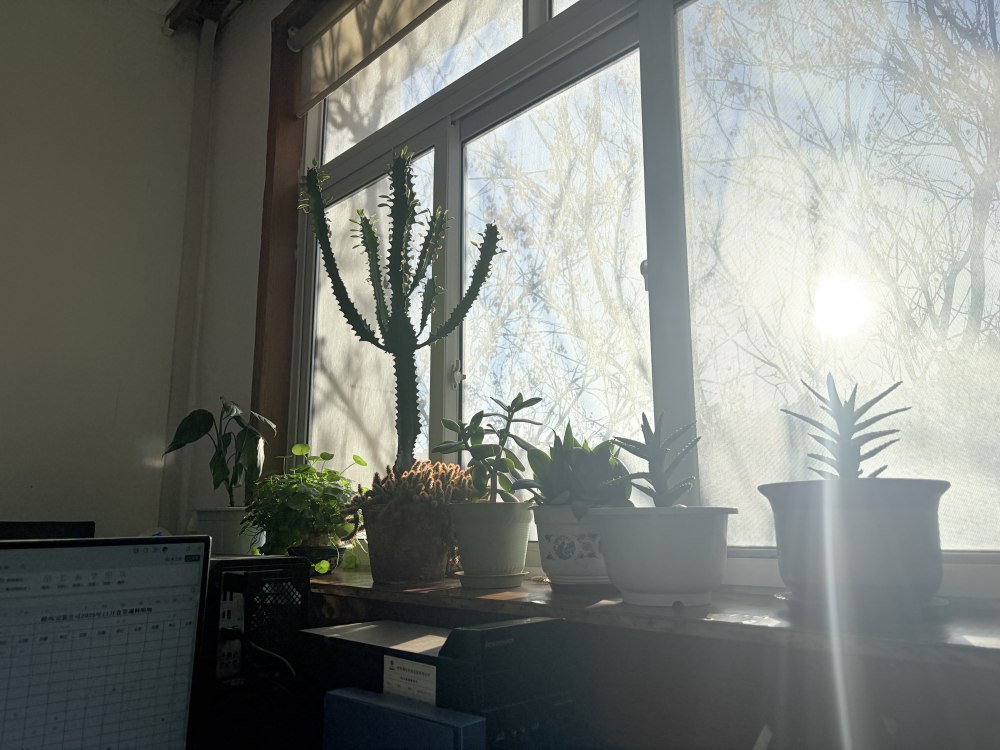 冬陽正好，步履鏗鏘